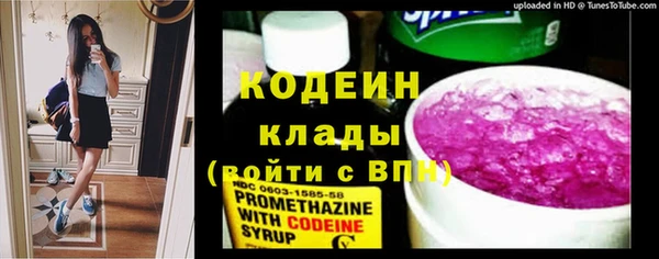 индика Липки