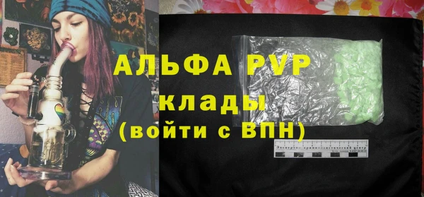 индика Липки