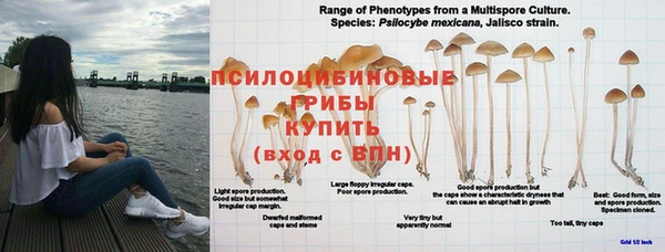 MDMA Нижневартовск