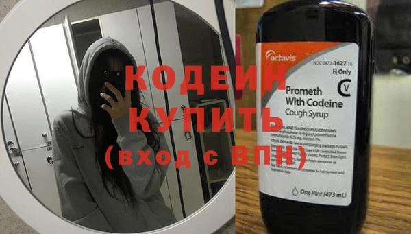 индика Липки