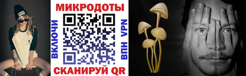 mega tor  Щигры  Псилоцибиновые грибы Psilocybine cubensis  магазин продажи  